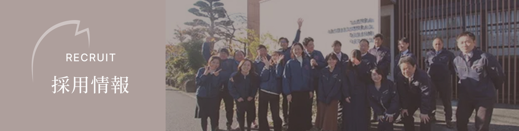 採用情報