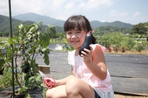 【特集】でっかい秋、 みいつけた！