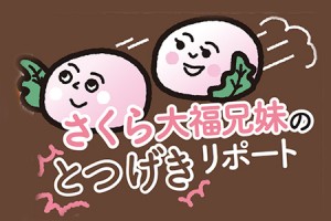 【さくら大福兄妹のとつげきリポート】