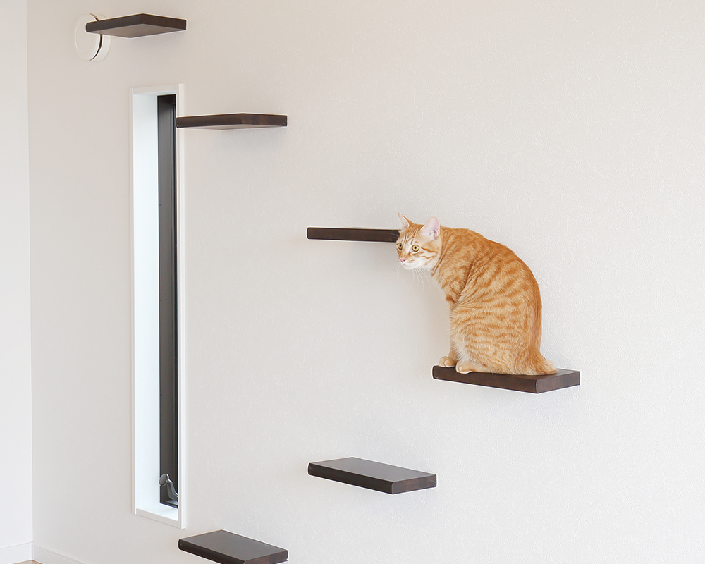 空間を有効活用した愛猫も快適なお家
