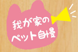 【我が家のペット自慢】投稿募集中！