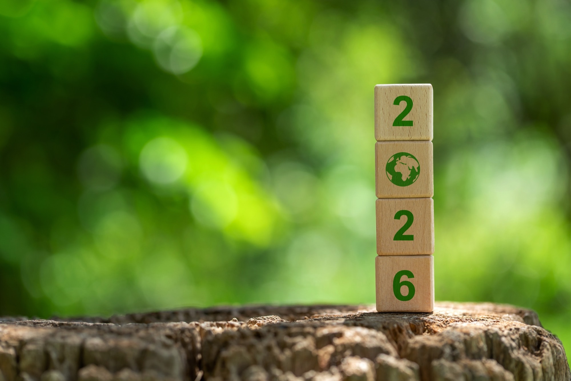 【2026年版】注文住宅の補助金「みらいエコ住宅2026事業」とは？条件・補助額・注意点などを解説