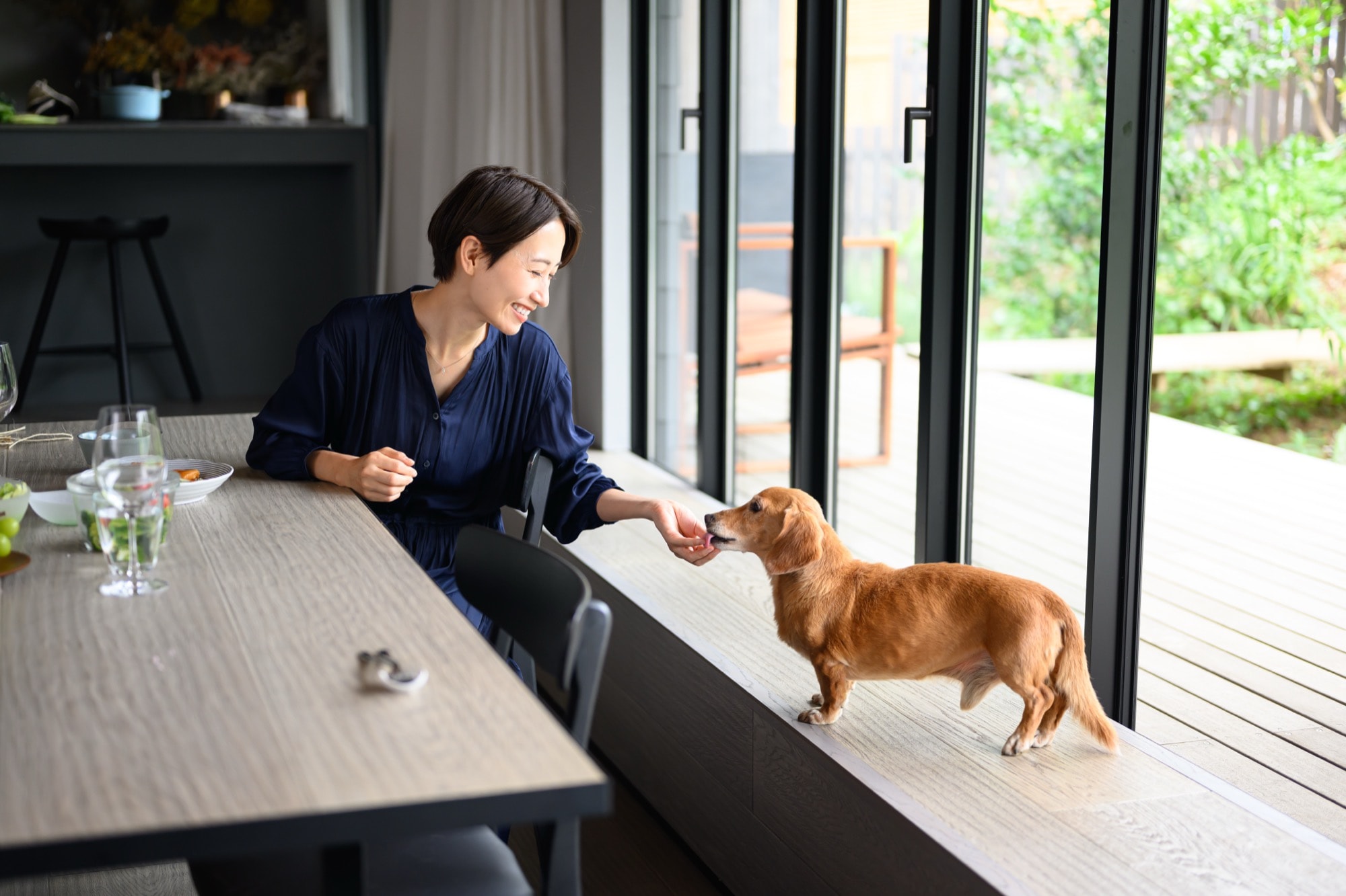 窓辺で愛犬と触れ合う女性