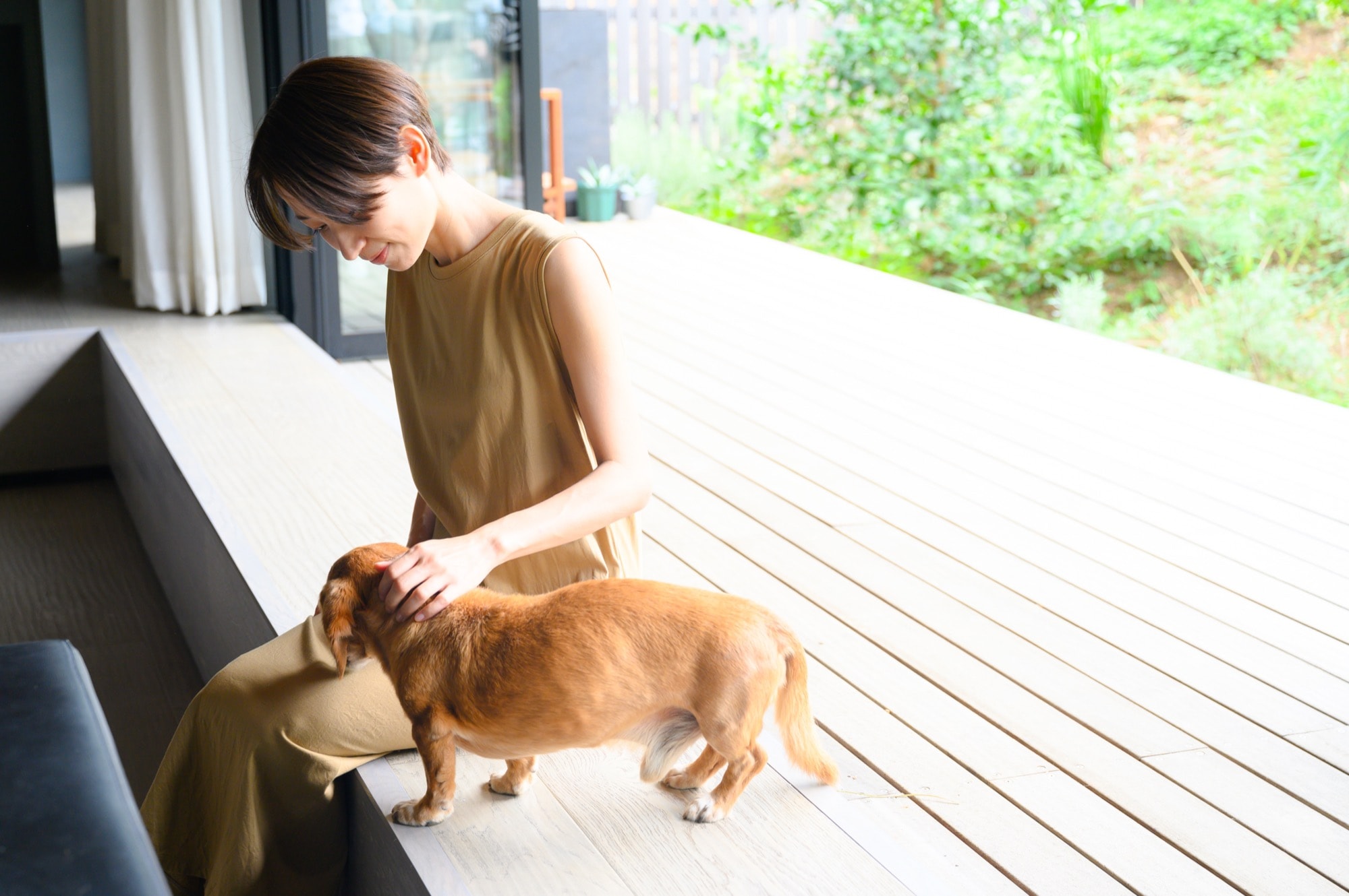 窓辺でペットと過ごす女性