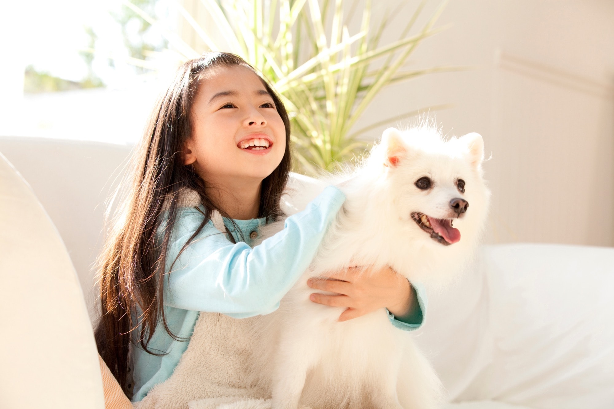 女の子とスピッツ犬