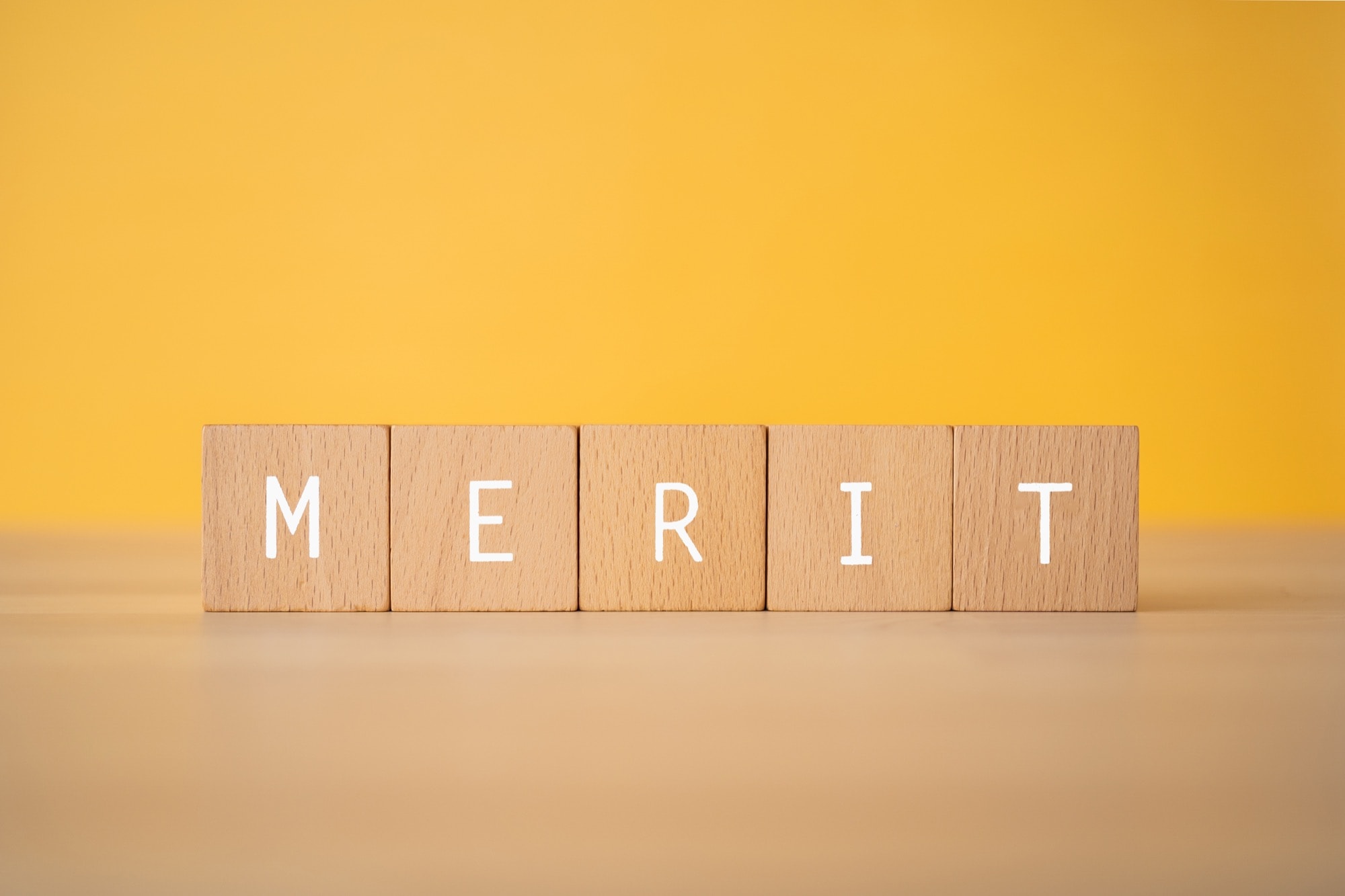 「MERIT」と書かれた積み木
